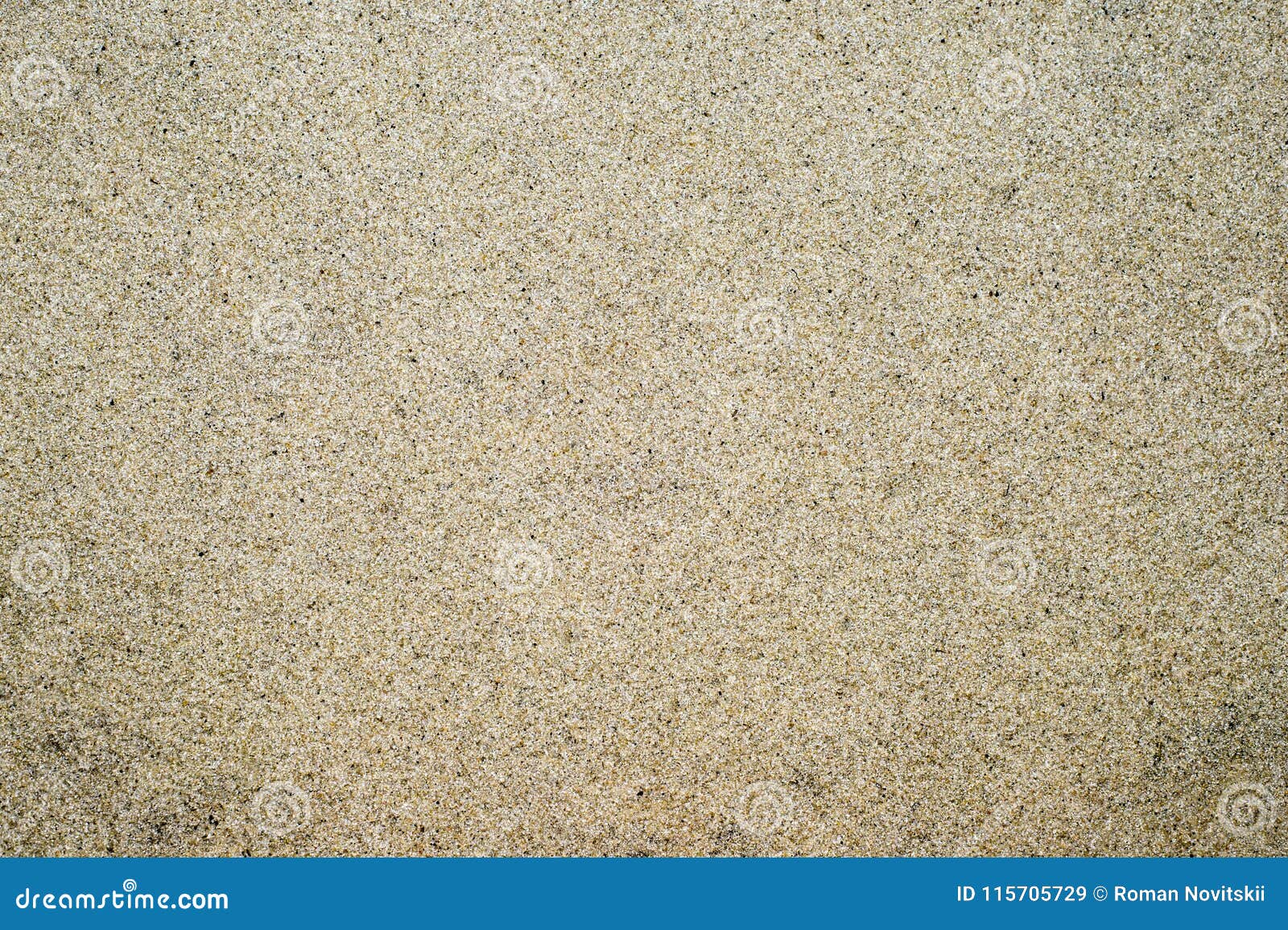 Textured Smooth Surface of Sand. Background. Black and White Image ...