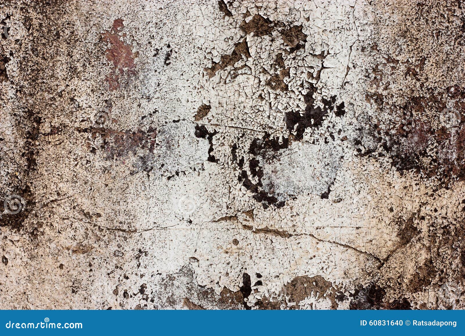 Textured walls with dirt. stock photo. Image of revetment 60831640