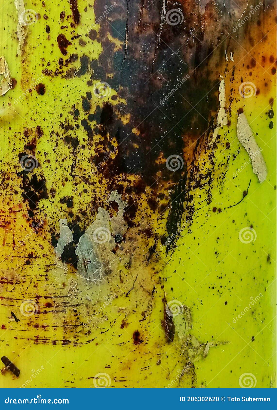 textured young banana tree midrib, close up background