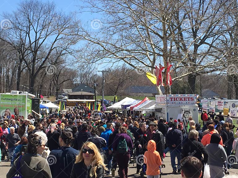 The 37th Annual Daffodil Festival in Meriden, Connecticut Editorial