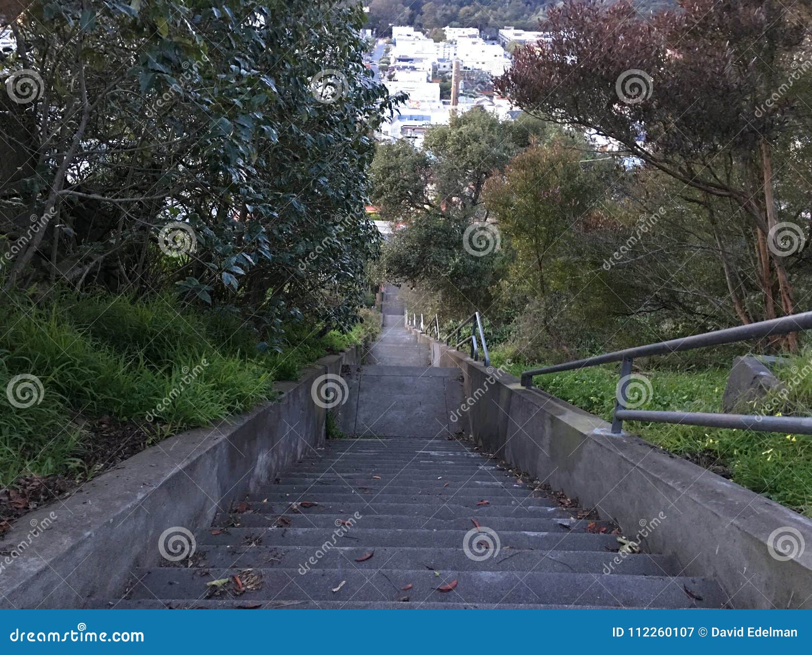 15th avenue steps, one of san francisco`s smallest, unofficial parks, 11.