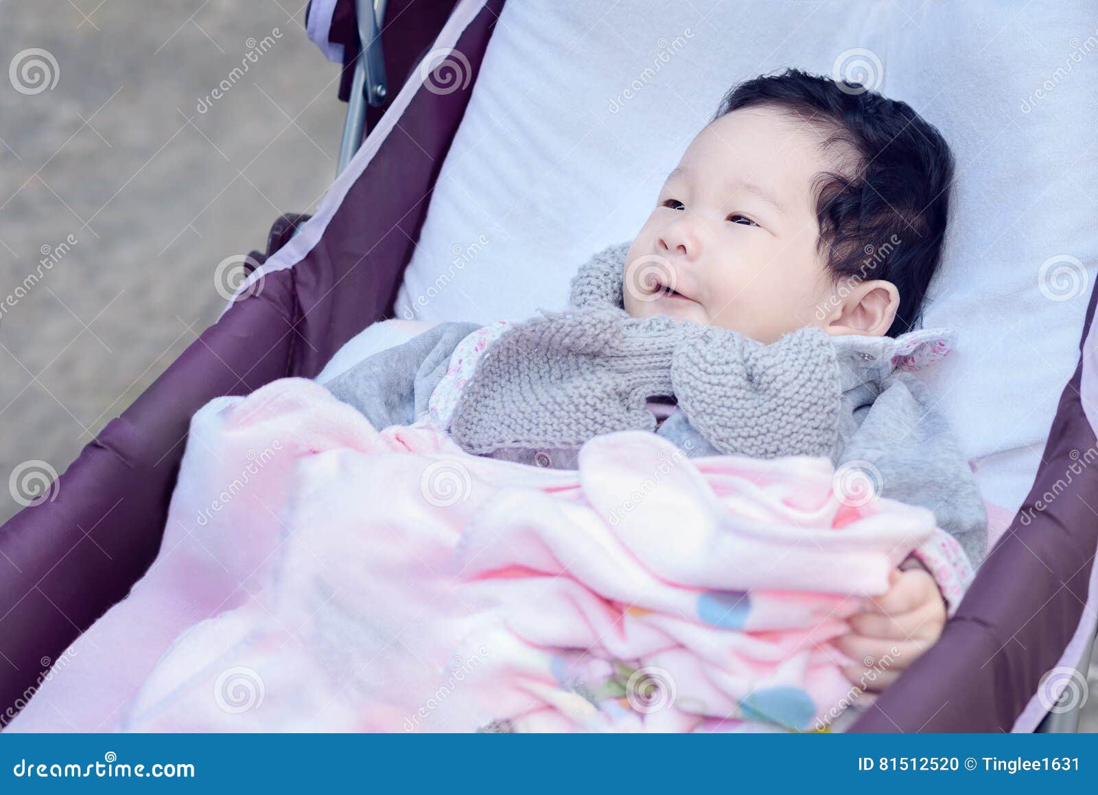 purple stroller for girl