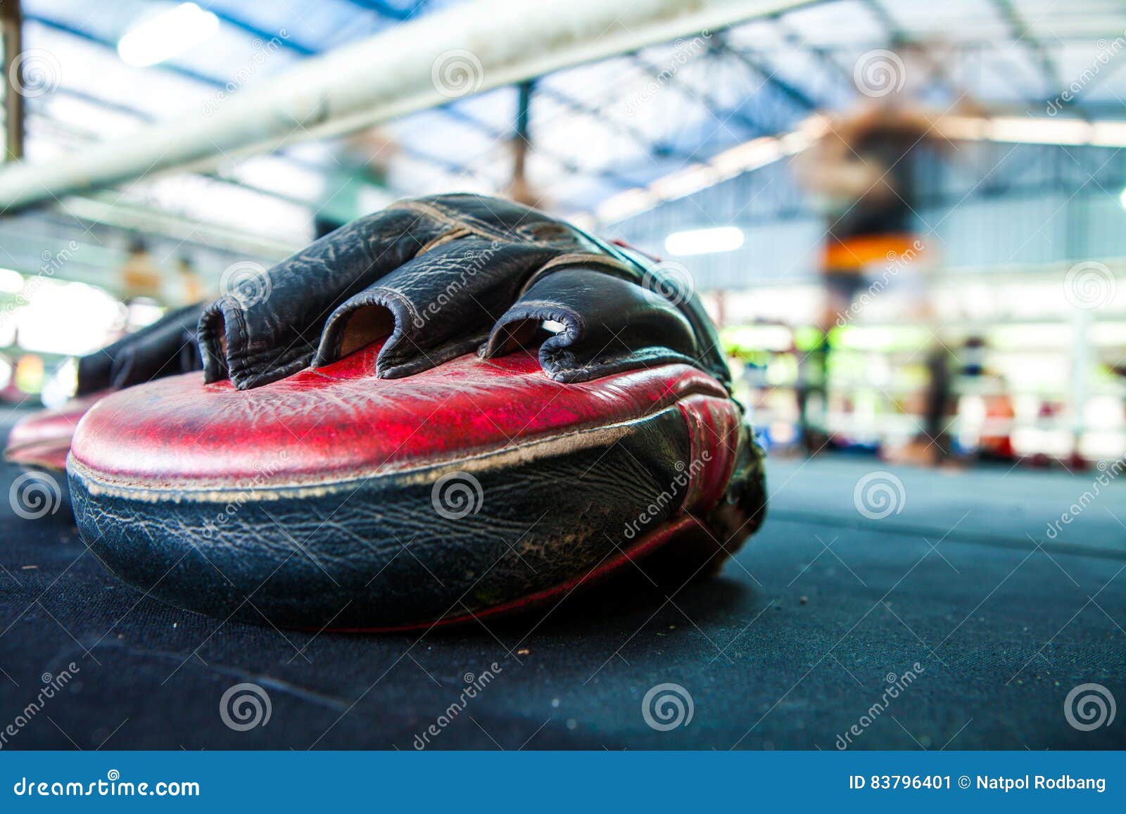 Thai Boxing Mitt Training Target Focus Punch Pad Glove on Canvas Stock