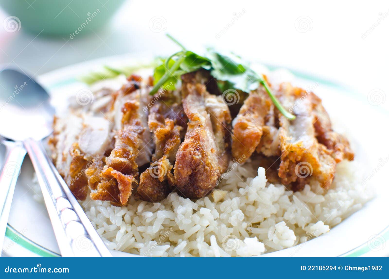 Thai chicken food. stock photo. Image of asia, chili - 22185294