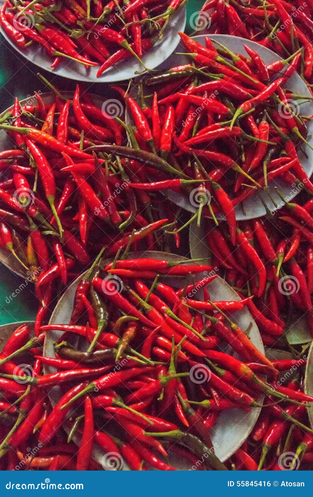 Thai Chili pepper stock photo. Image of green, agriculture 55845416