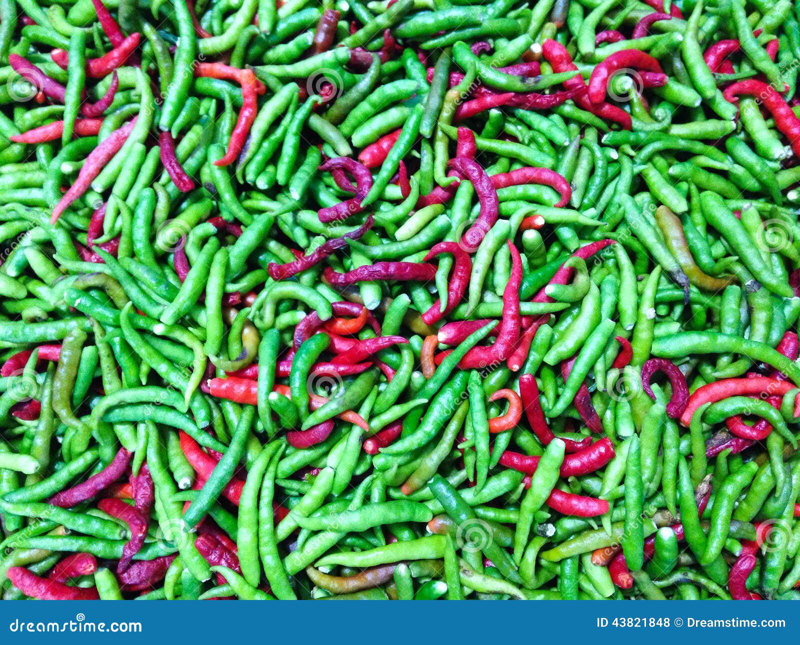 Thai chili stock photo. Image of spicy, green, thai, chili 43821848
