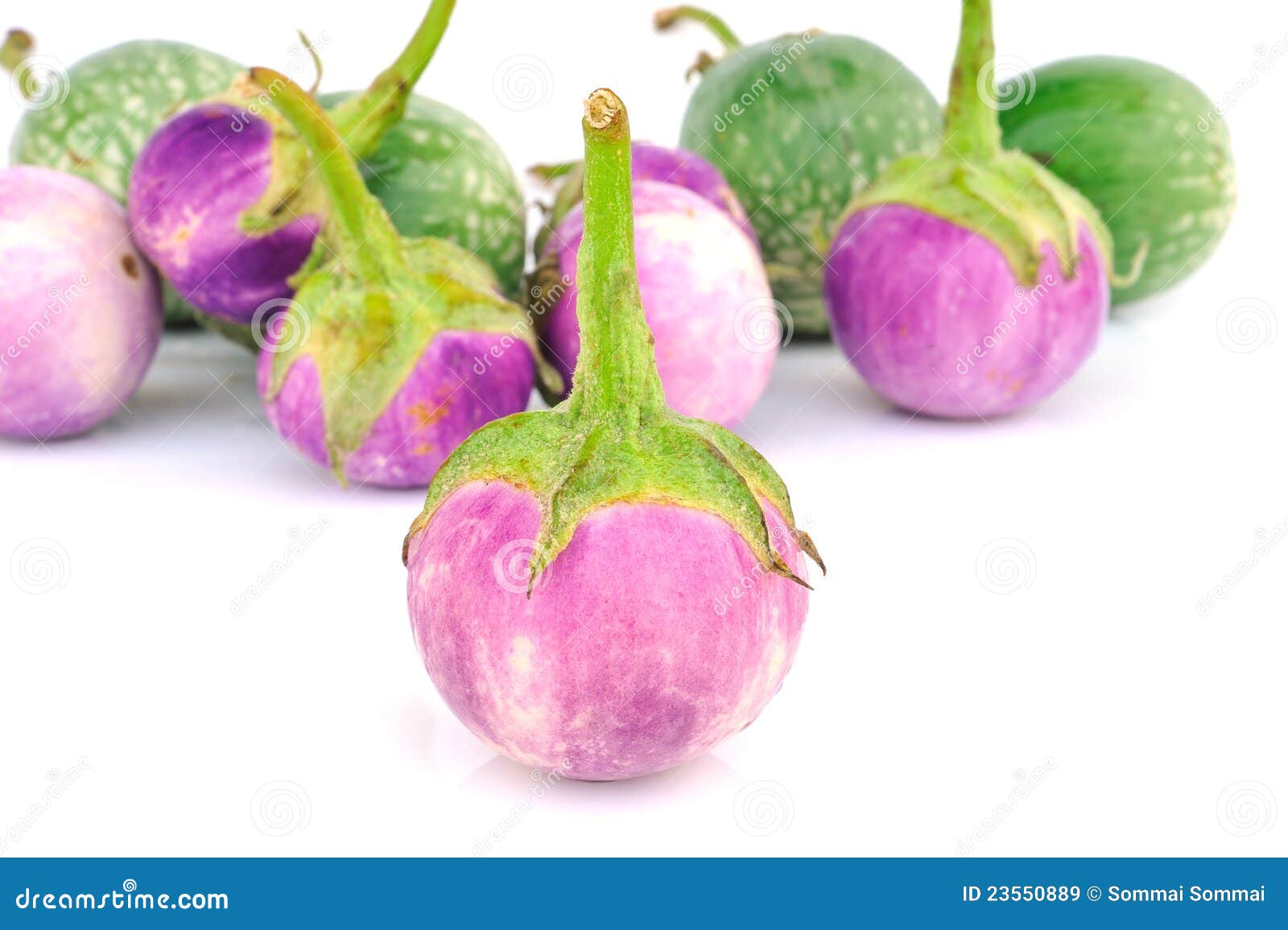 Thai Eggplant stock image. Image of gastronomy, little 23550889