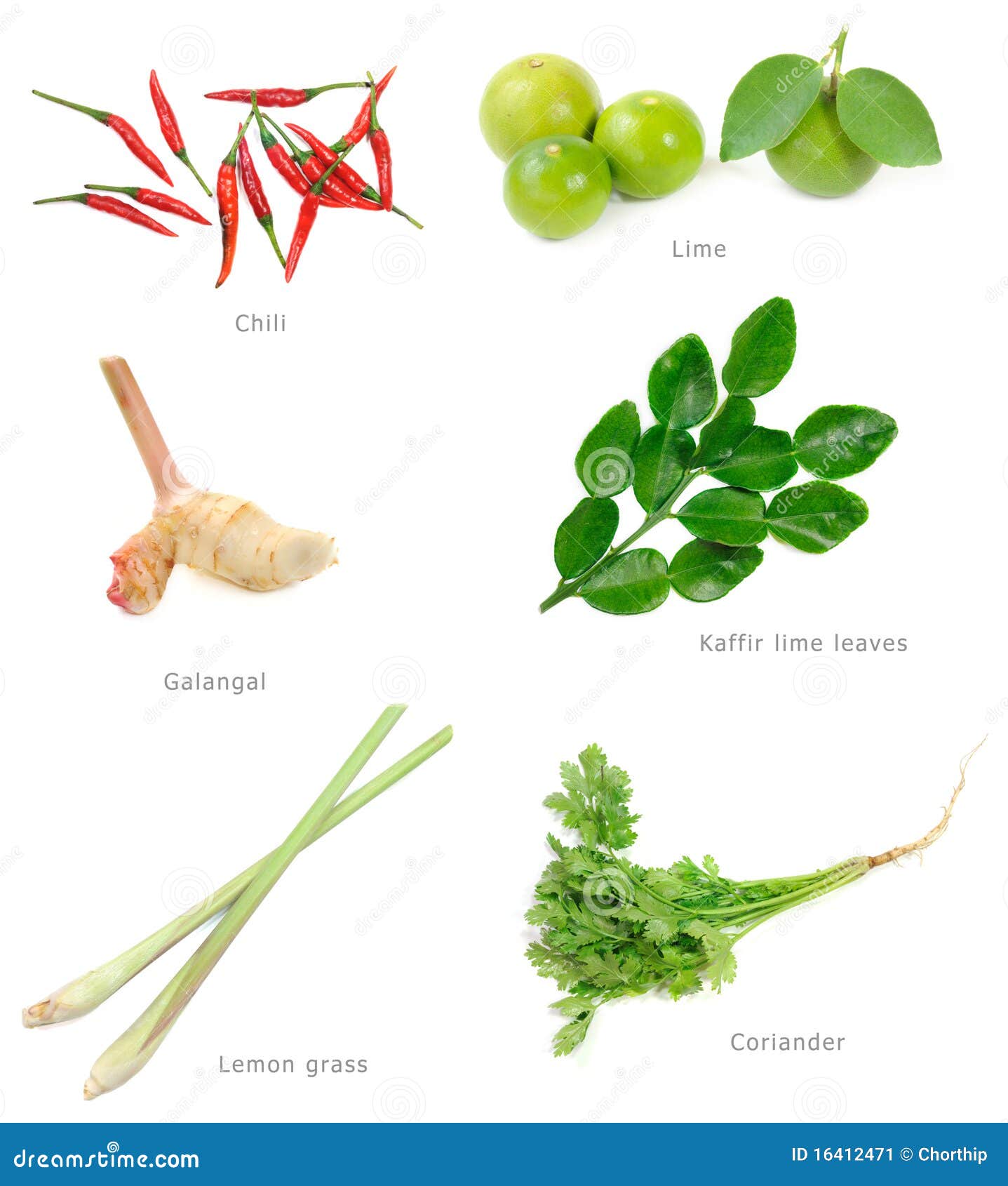 Thai food ingredients stock image. Image of kaffir, cuisine 16412471