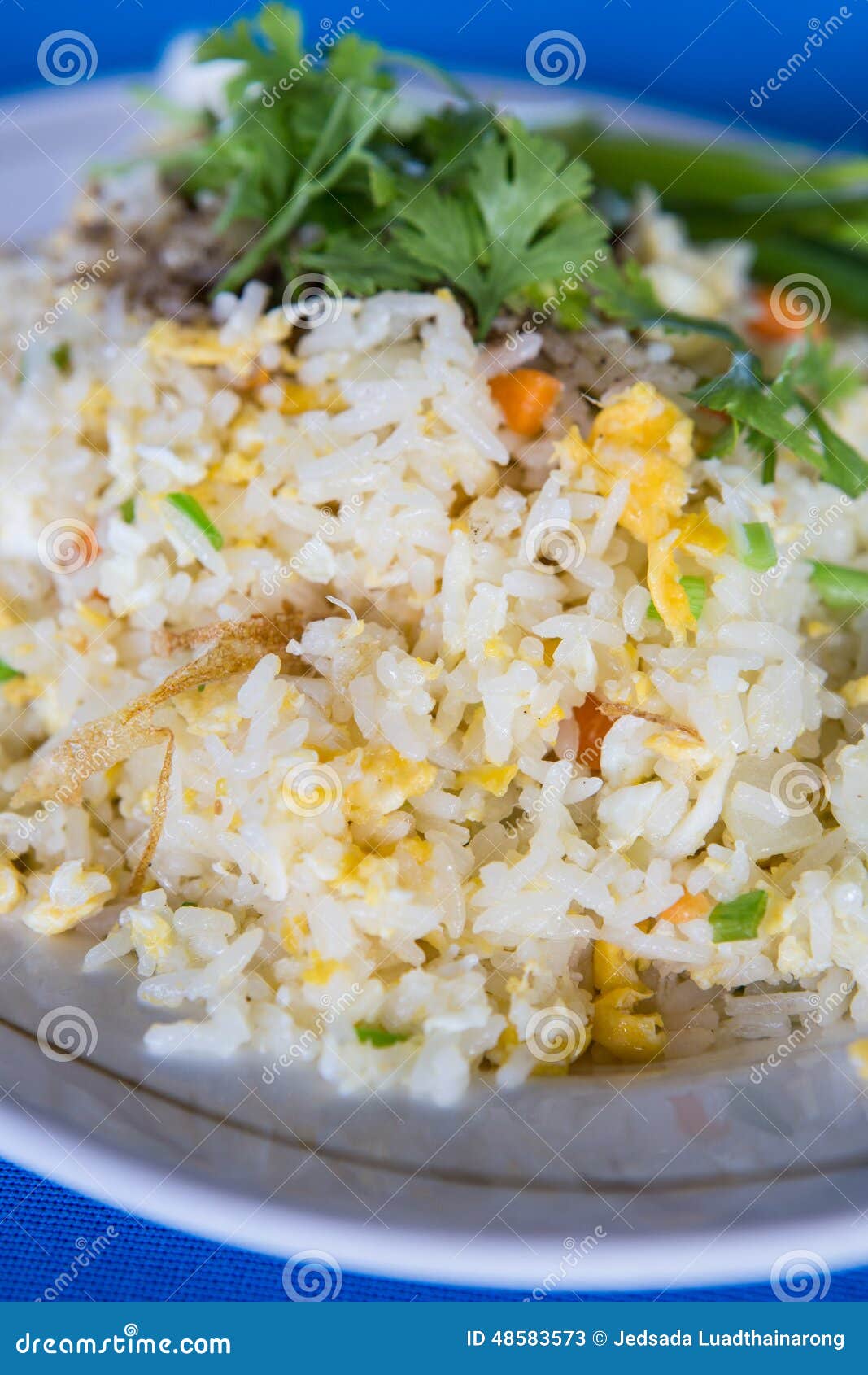 Thai Fried Rice with Crab Meat Stock Image Image of plate, style