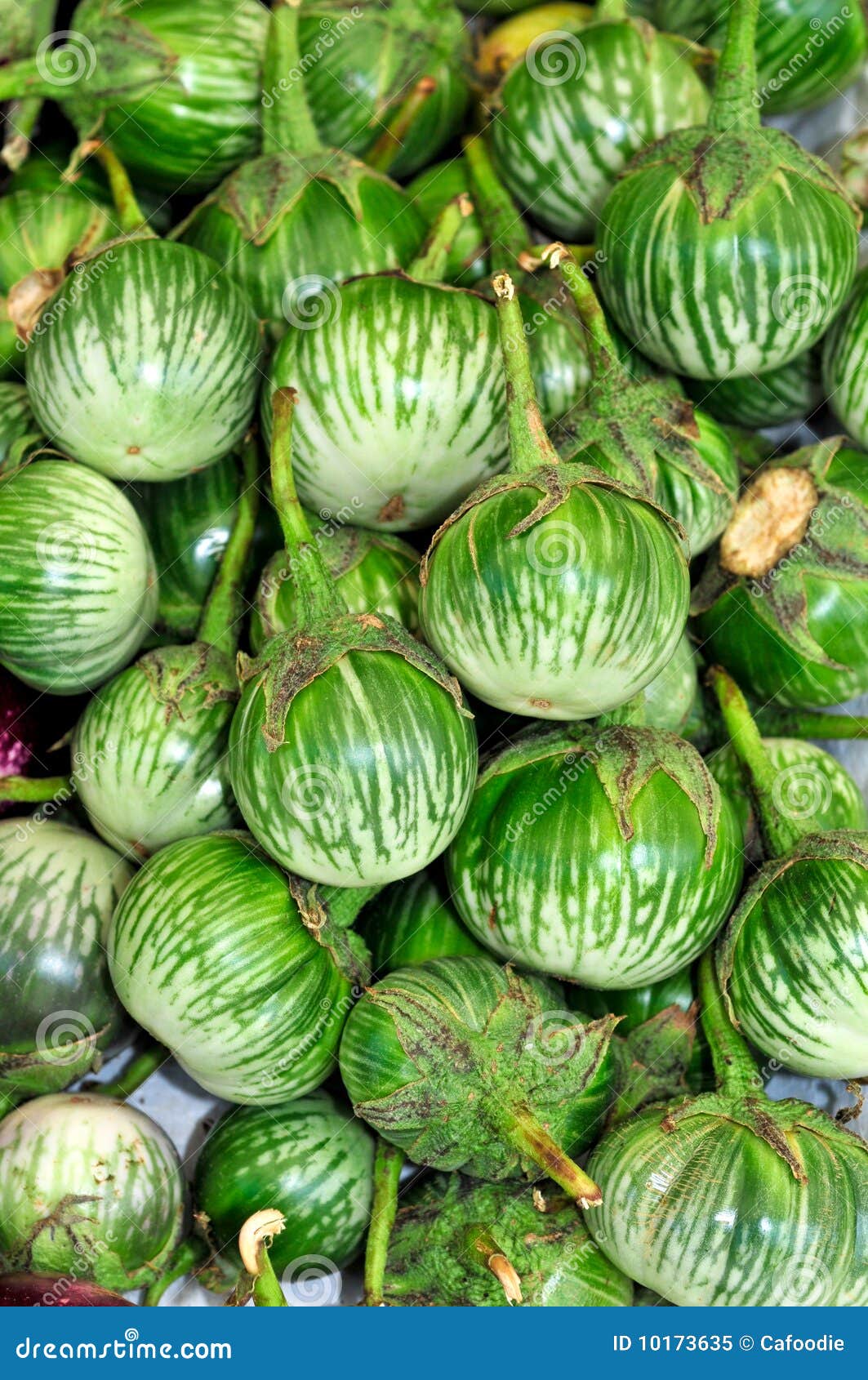 Thai Green Eggplant stock image. Image of tasty, asia 10173635