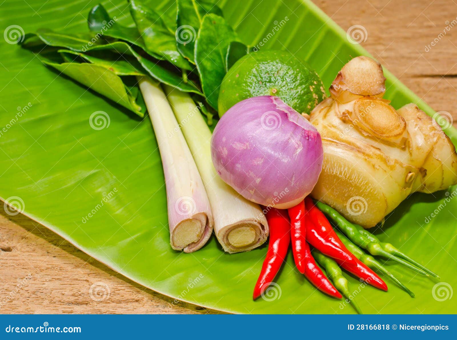 Thai herb. stock photo. Image of green, galanga, garlic 28166818