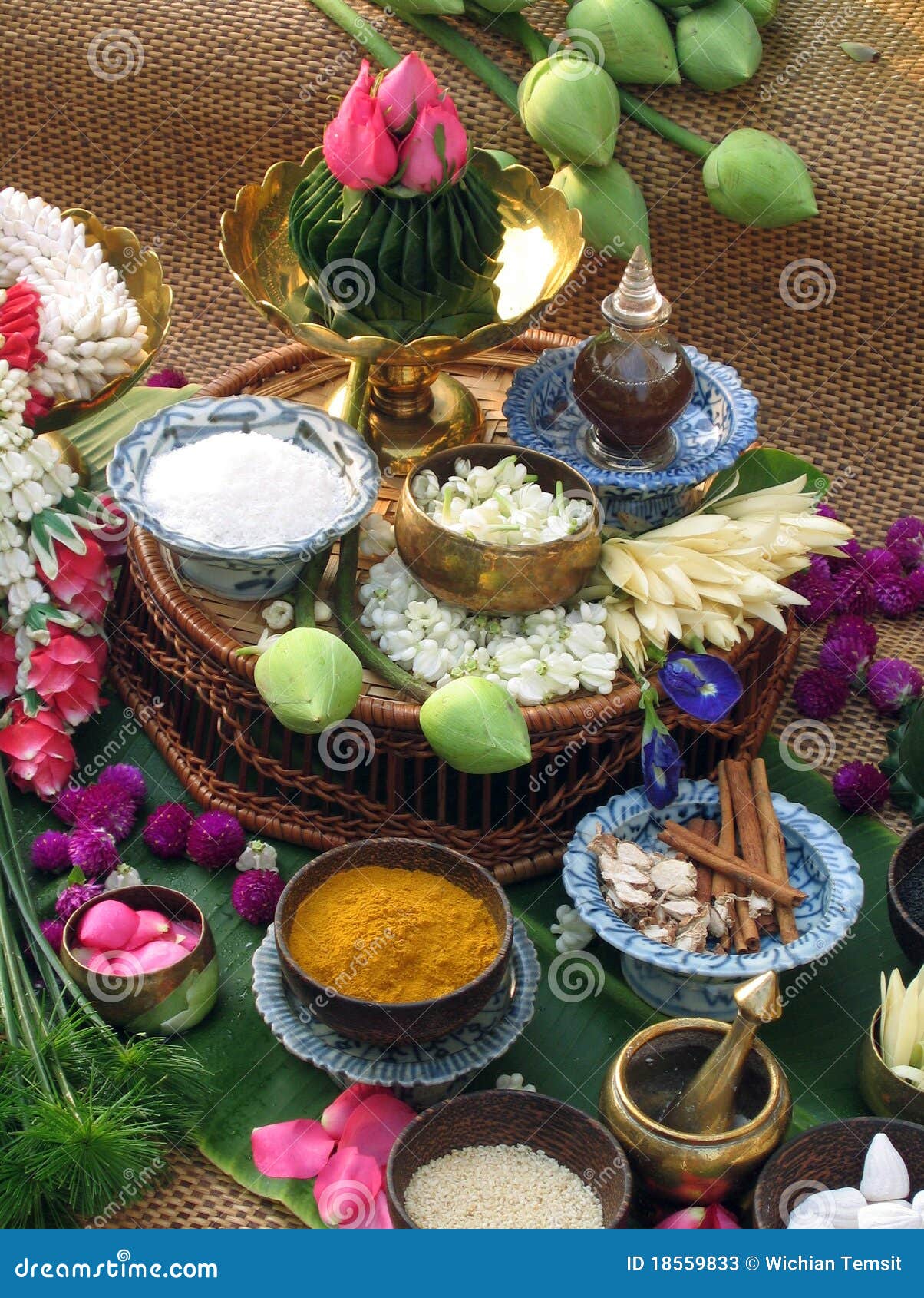 Thai Herbs stock image. Image of herbs, thai, cinnamon 18559833