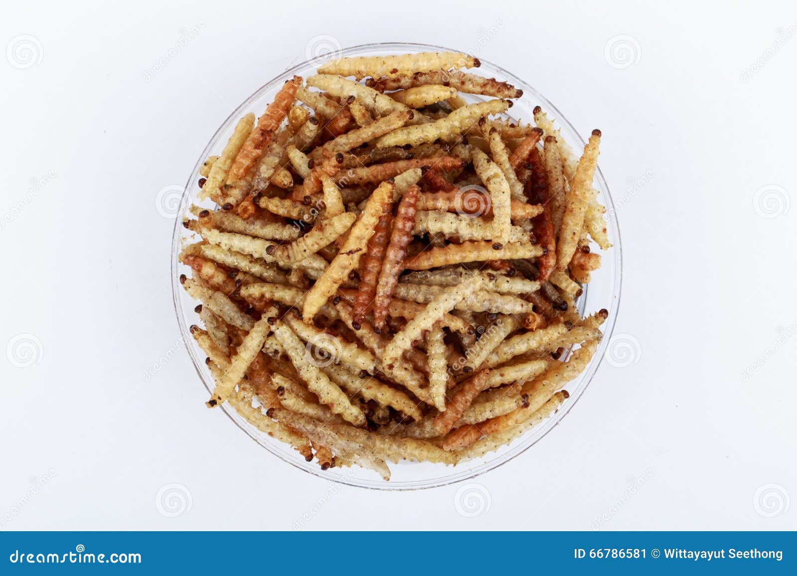 Thai Insects, Fried Insects Mealworms for Snack. Stock Image Image of
