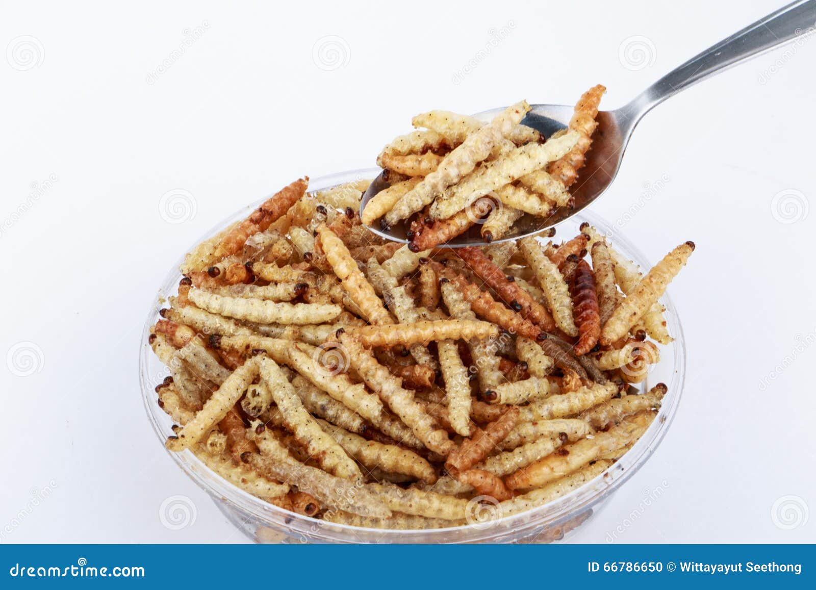 Thai Insects, Fried Insects Mealworms for Snack. Stock Photo Image of