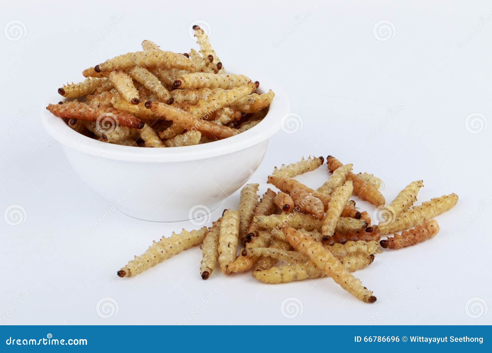 Thai Insects, Fried Insects Mealworms for Snack. Stock Photo Image of