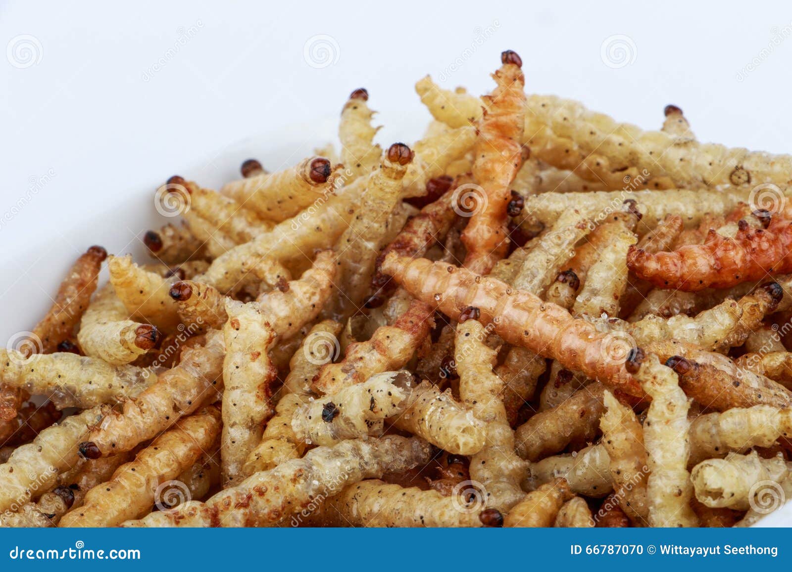 Thai Insects, Fried Insects Mealworms for Snack. Stock Photo Image of