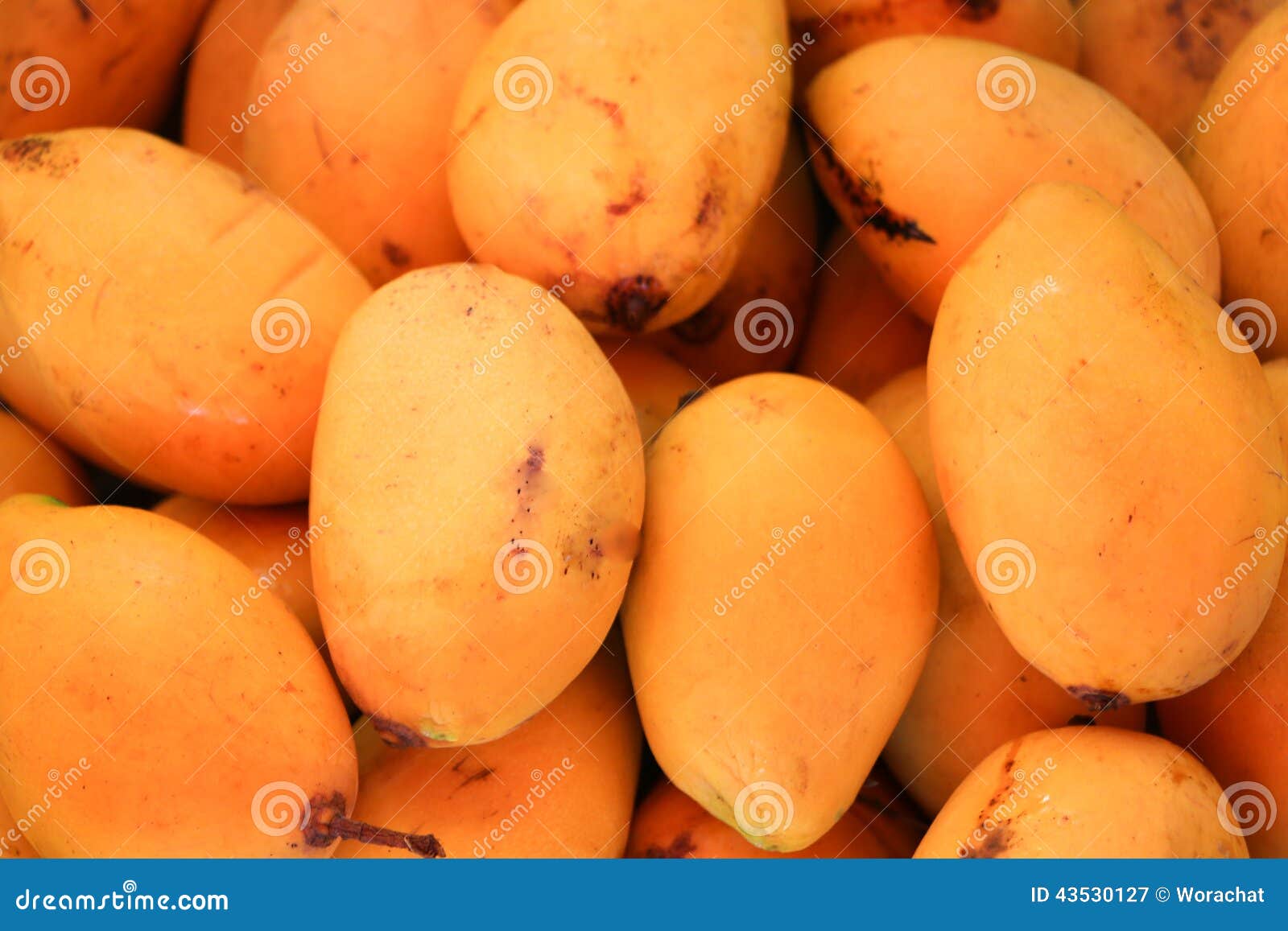 Thai mangoes stock image. Image of closeup, grocery, color 43530127