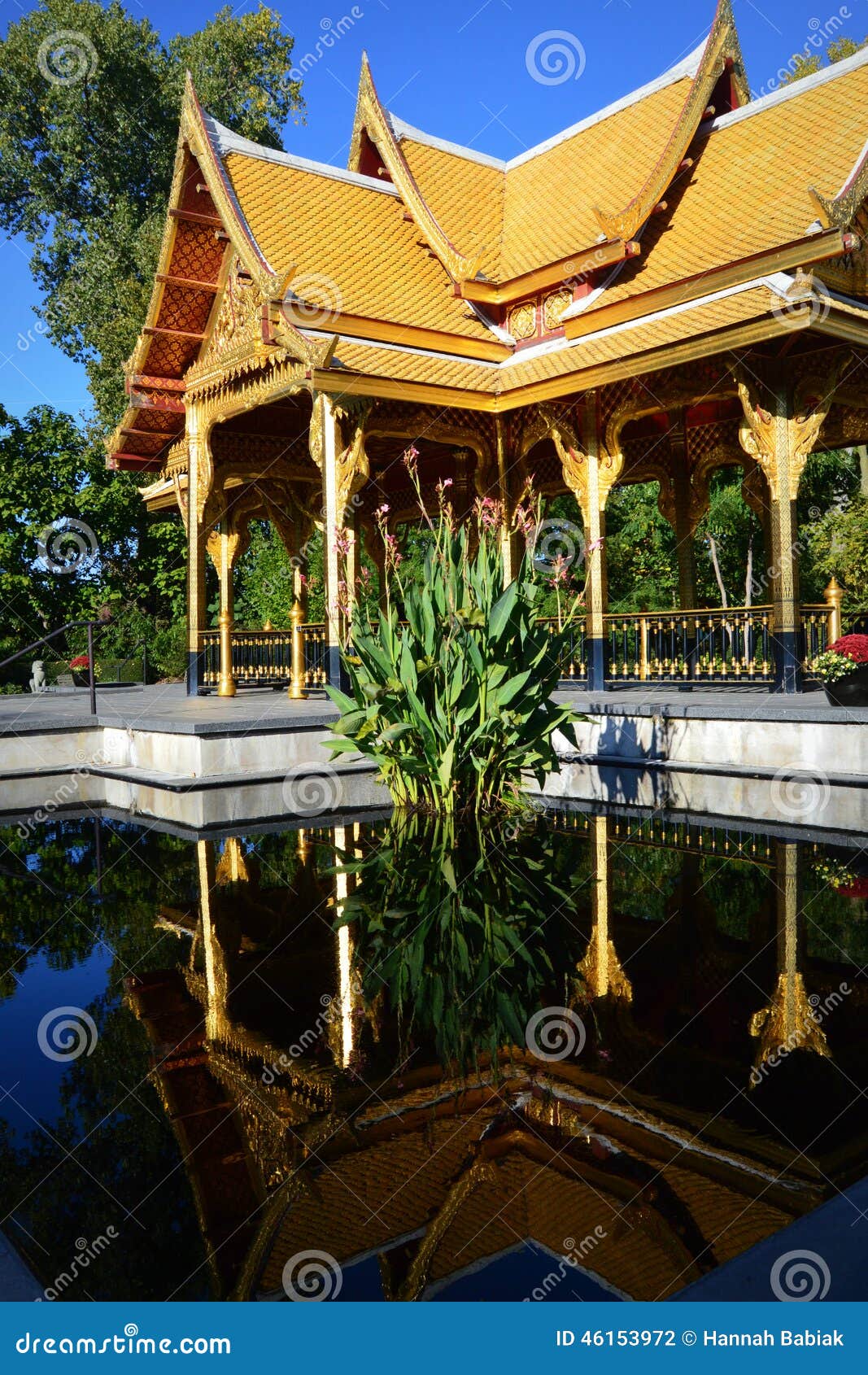 Thai Pavilion Stock Photo Image Of Garden Tree Botanical 46153972