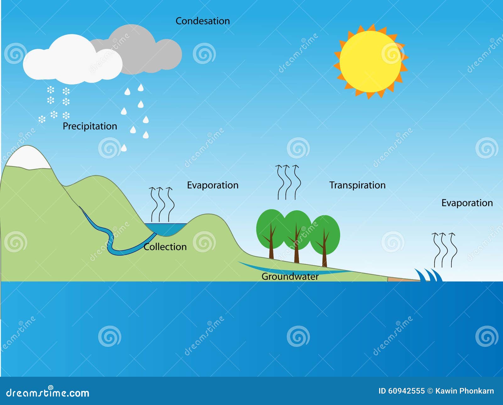 Diagram of Water Cycle in nature illustration 10935315 Vector Art at  Vecteezy