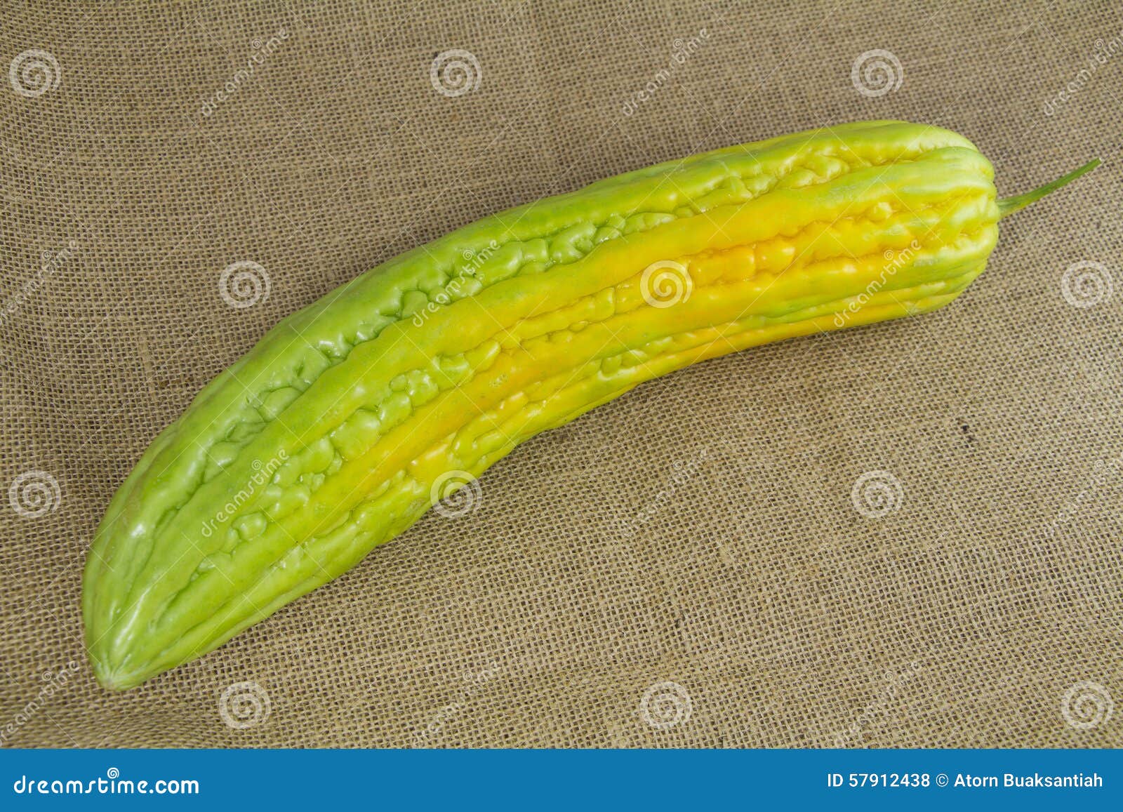 Thai yellow Bitter Gourd stock photo. Image of green 57912438