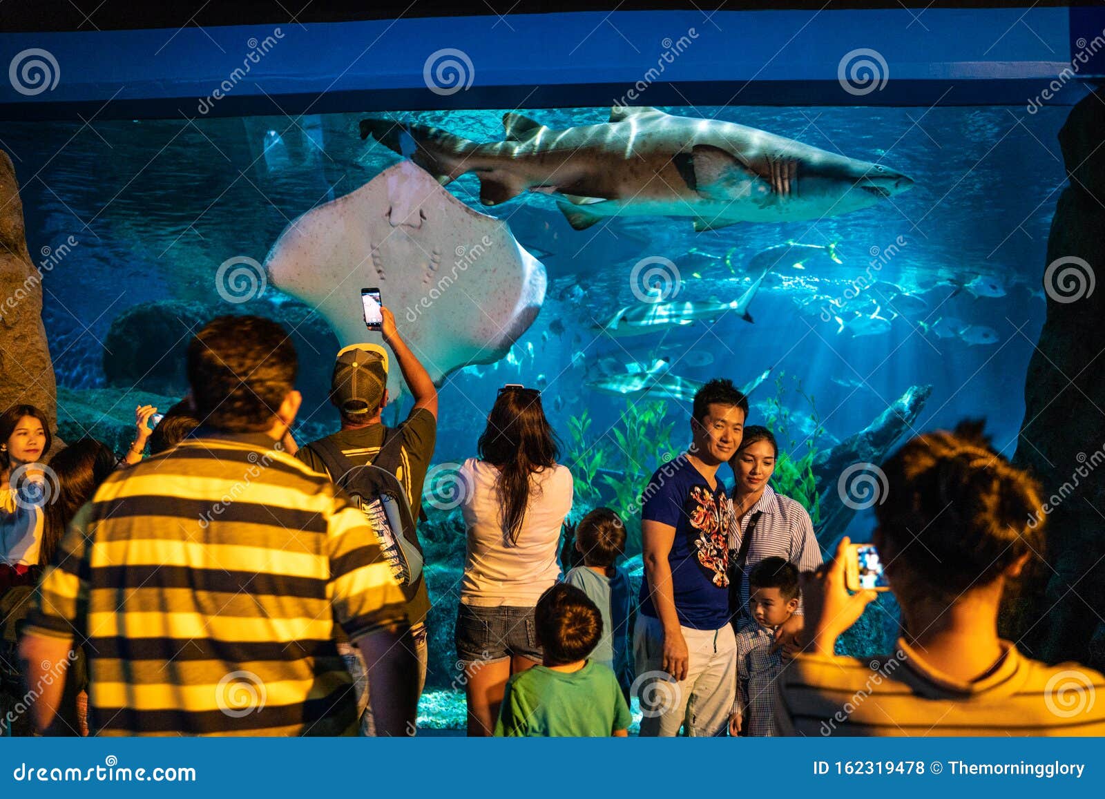 Tourist Enjoying in Sea Life Bangkok Ocean World Aquarium Editorial ...