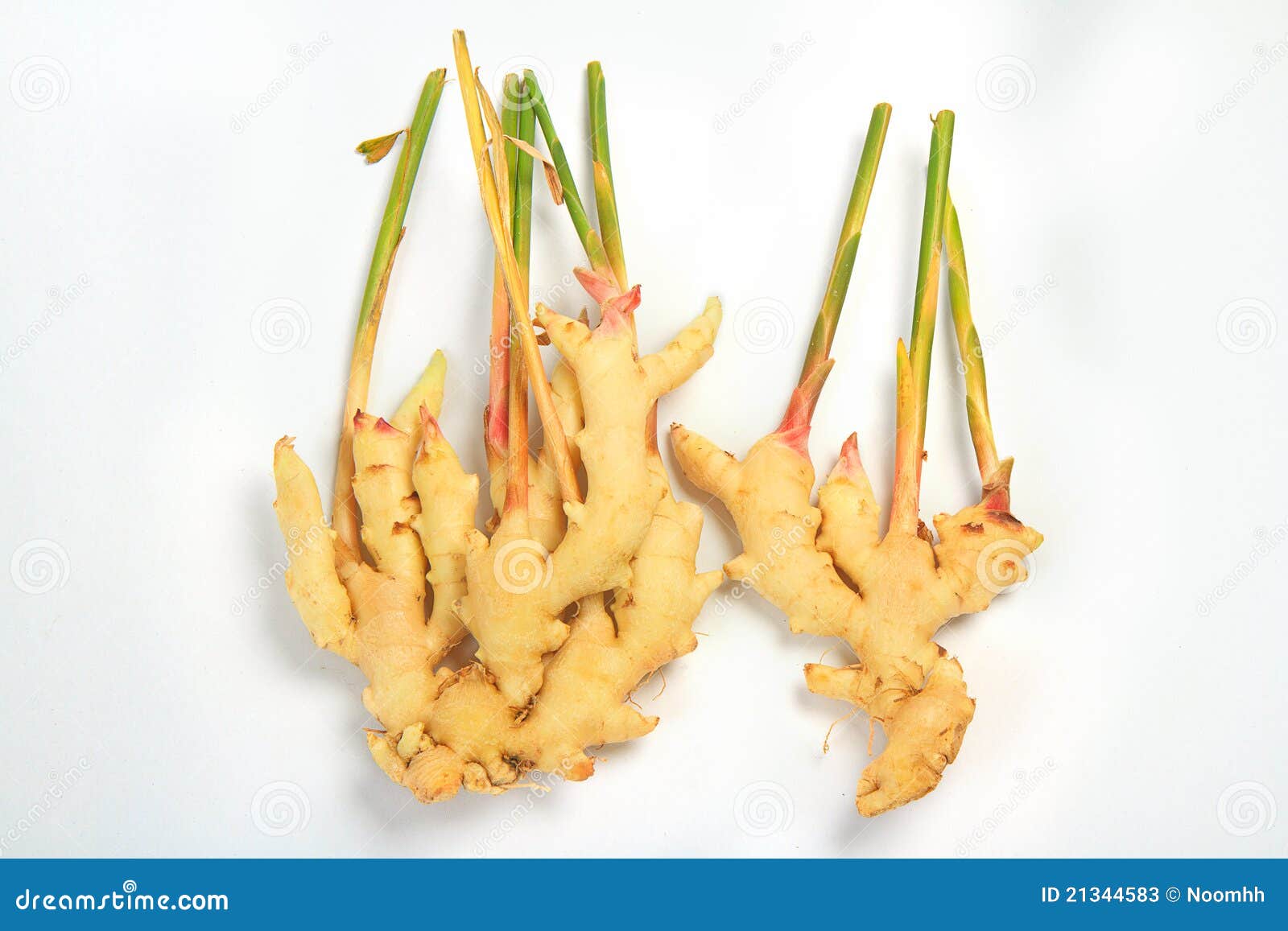 Thailand Ginger Picture. Image 21344583