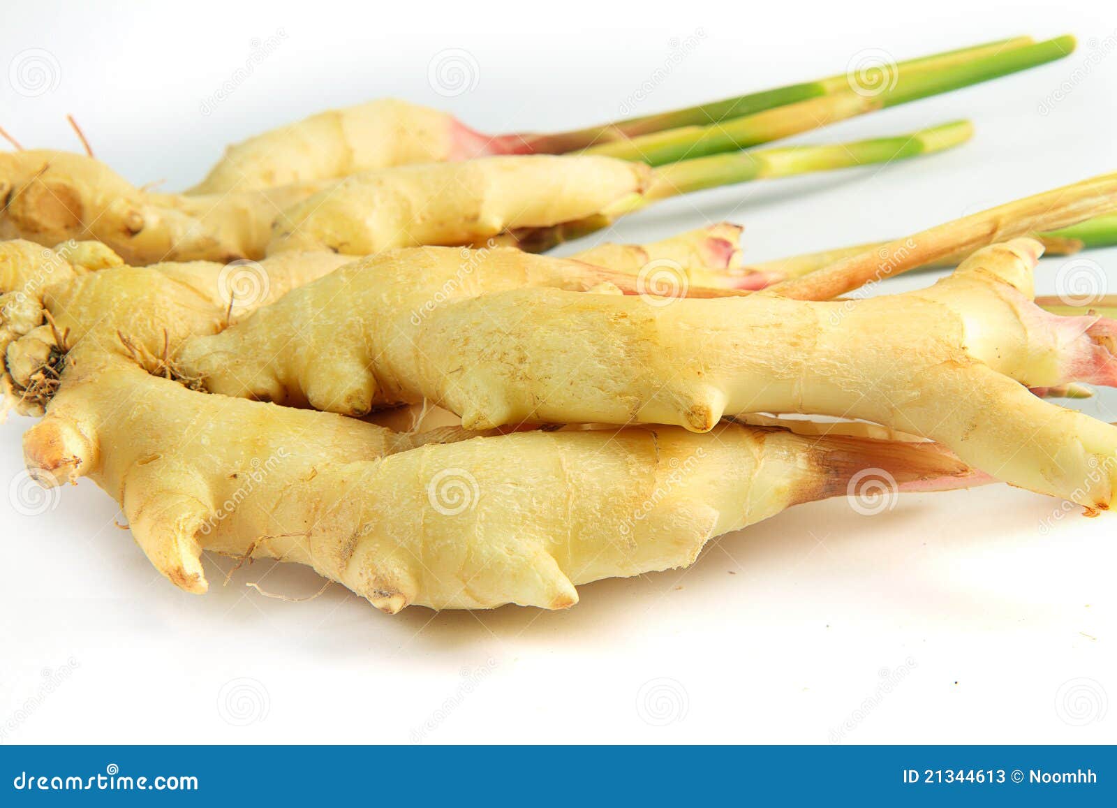 Thailand ginger stock image. Image of leafginger, green 21344613