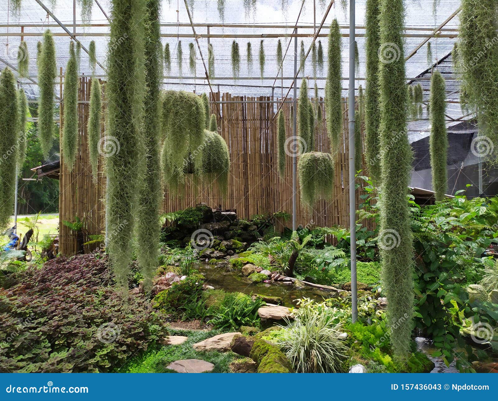 Thailand Happy Flower Garden Bamboo Water Spanish Moss Stock Image