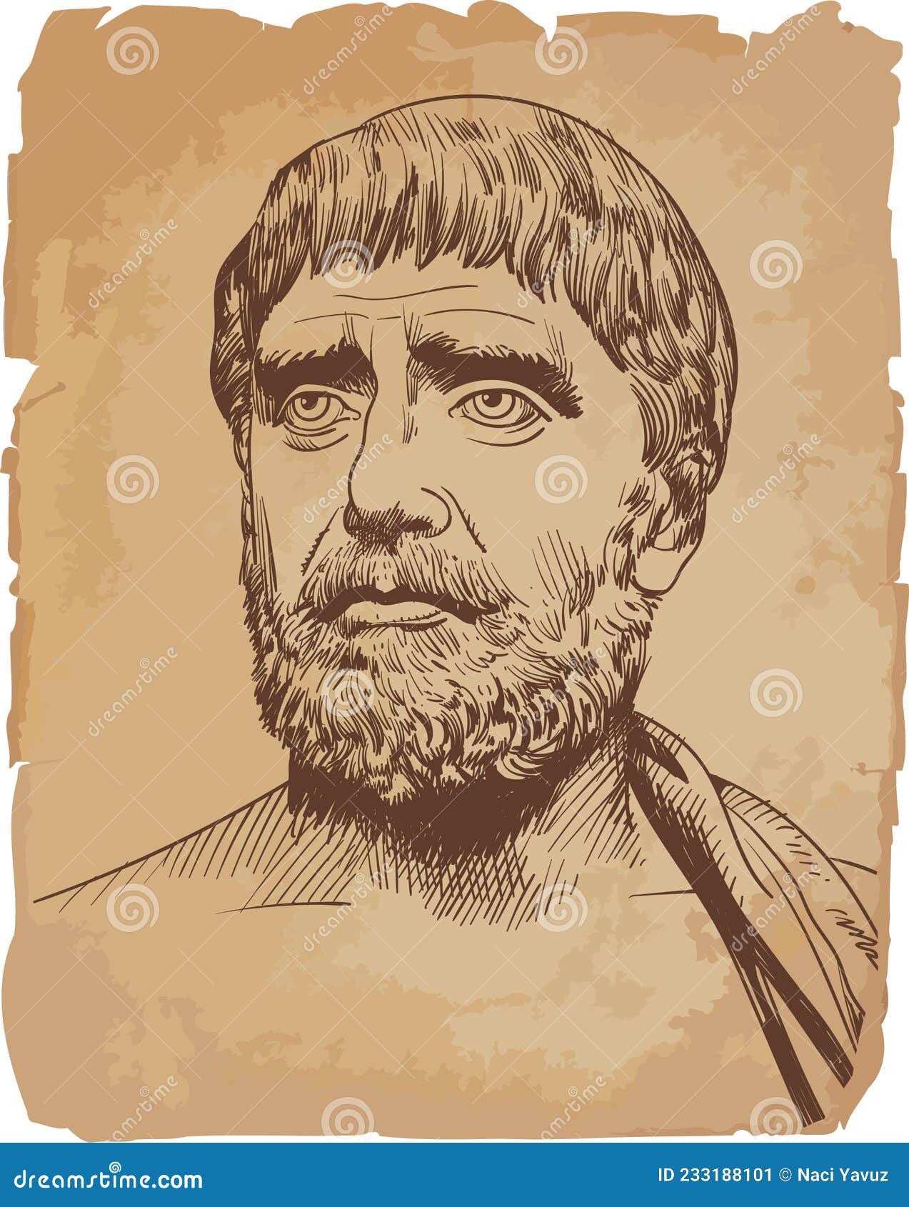 thales of miletus line art portrait