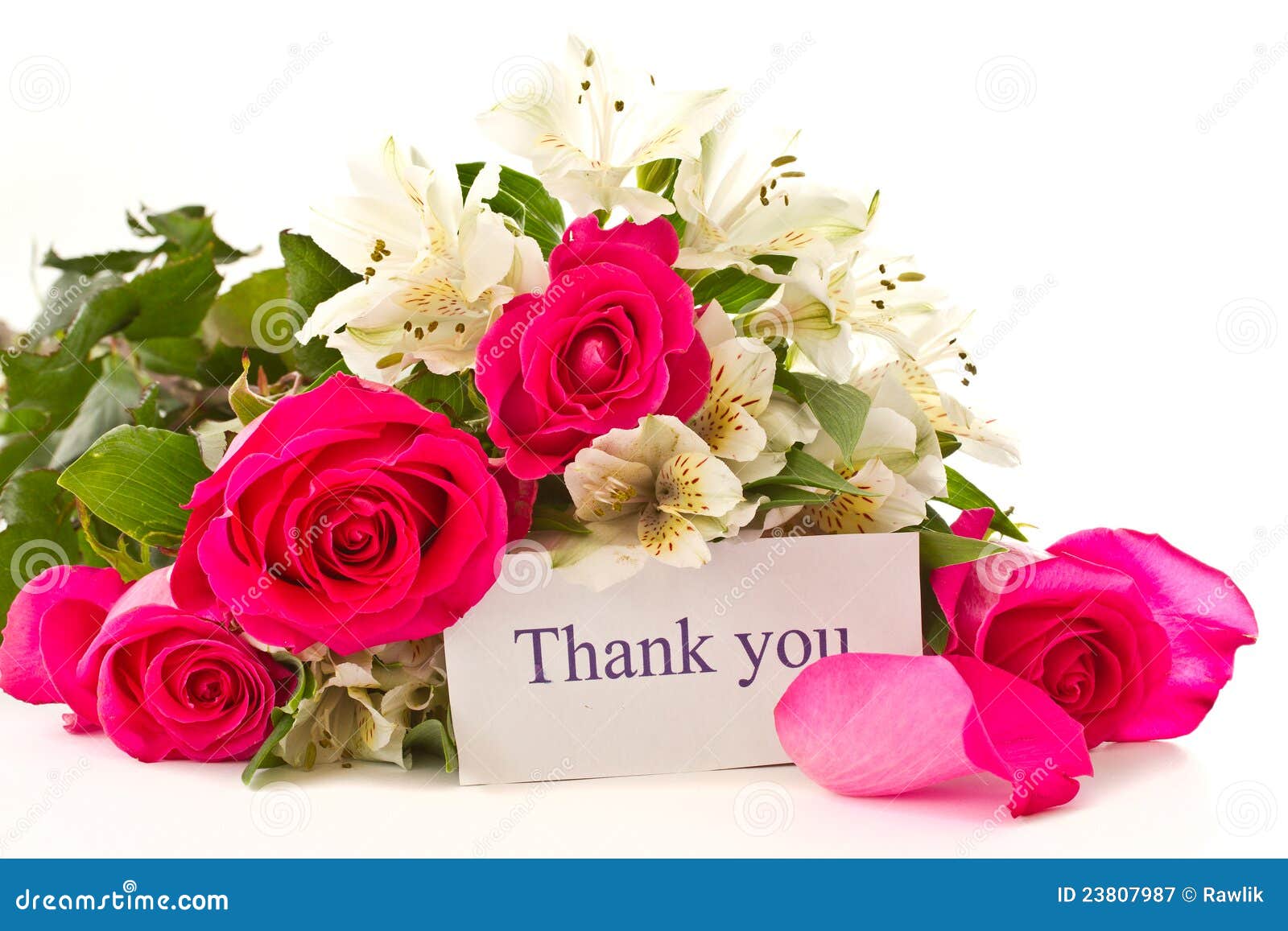 free clip art thank you flowers - photo #48