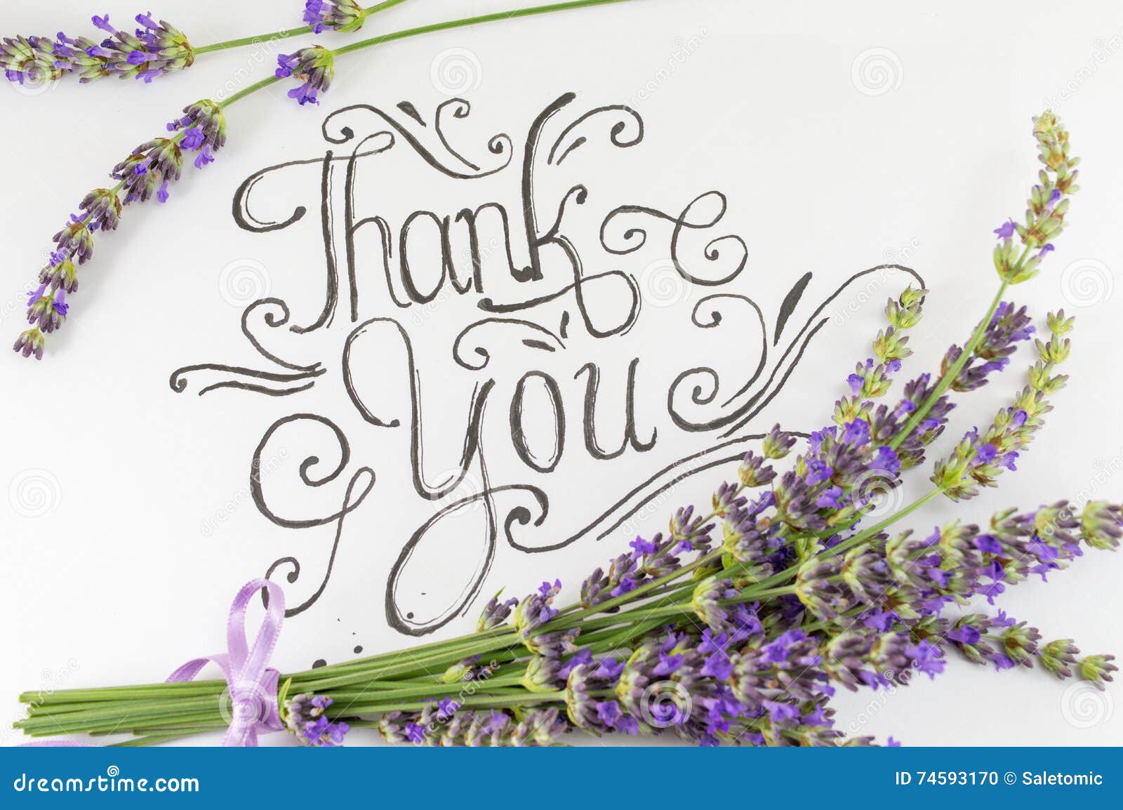 Thank You For The Flowers Royalty-Free Stock Photo | CartoonDealer.com