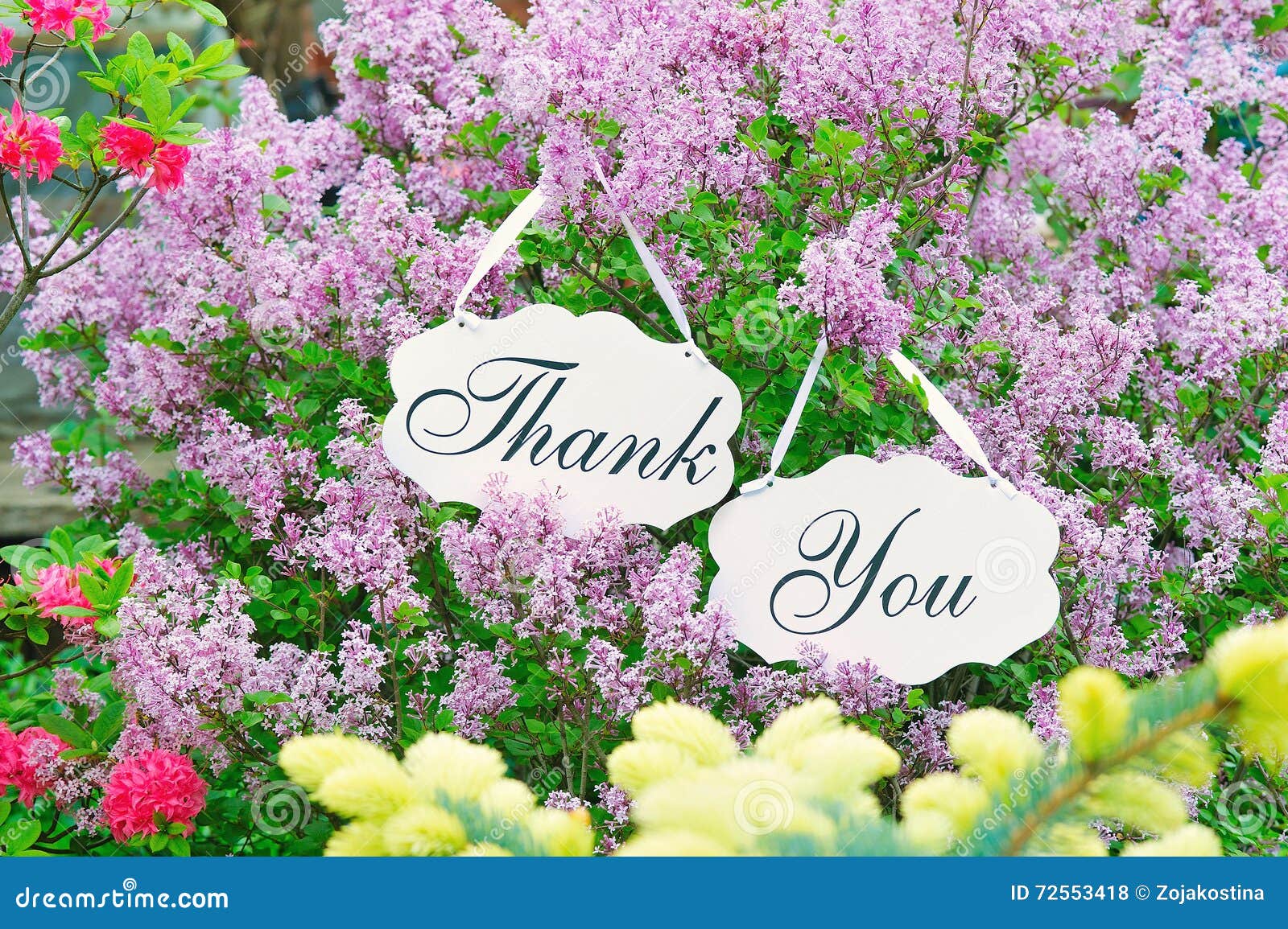 Thank you decoration board stock photo. Image of decoration 72553418