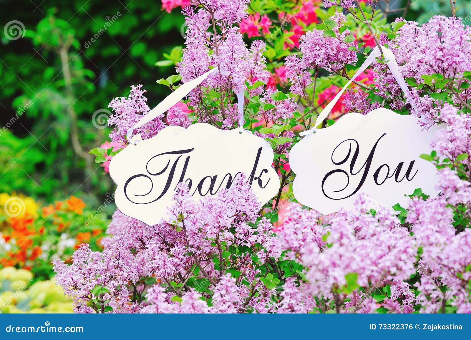 Thank You Decoration Boards Stock Photo Image of decoration, outside 73322376