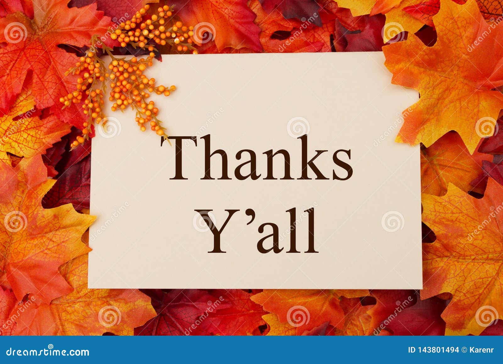 Thank You Greeting Card with Fall Leaves Stock Photo - Image of ...