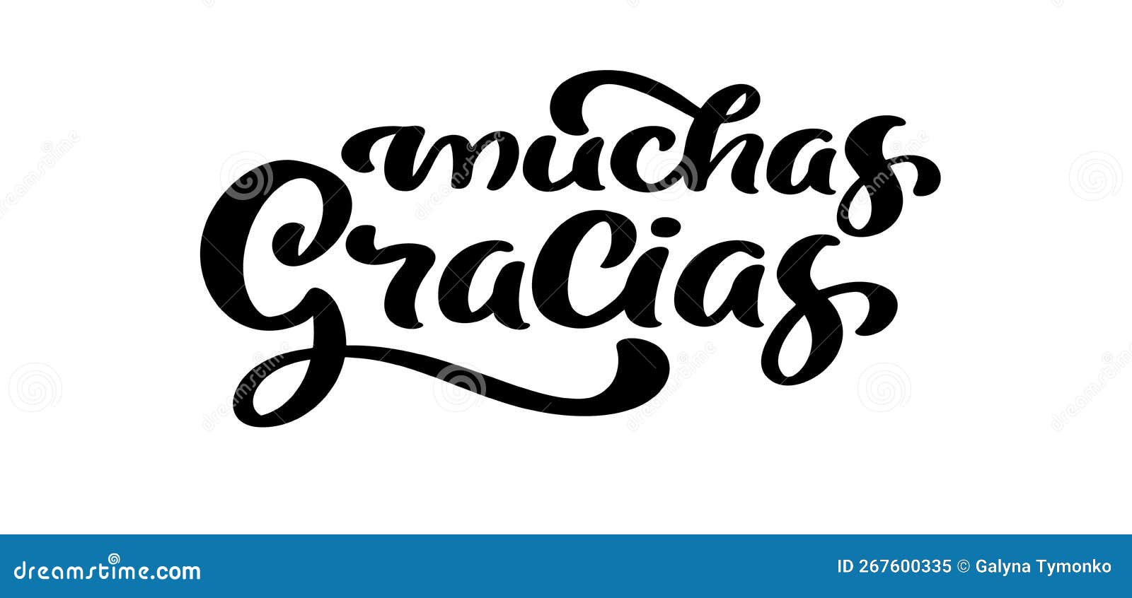 Thank You Vector Lettering Text In Spanish Muchas Gracias. Hand Drawn ...