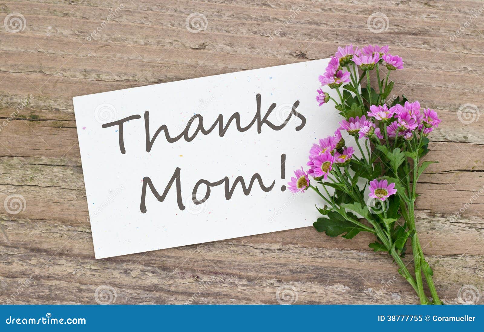 Thanks Mom Stock Image Image Of White Green Brown