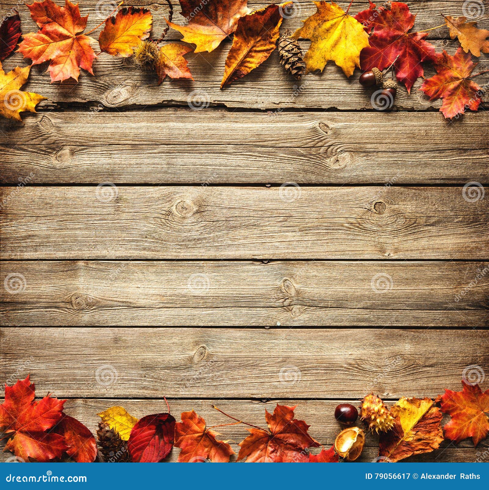 Thanksgiving Autumnal Background Stock Image - Image of holiday, food