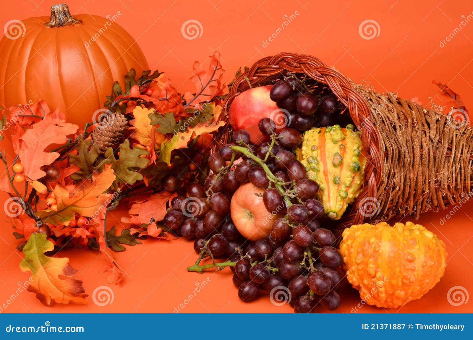 Thanksgiving Cornucopia stock image. Image of basket - 21371887