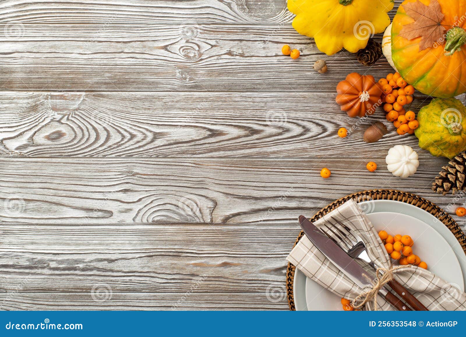thanksgiving day concept. top view photo of plate napkin cutlery raw vegetables pumpkins pattypans pine cones rowan berries maple