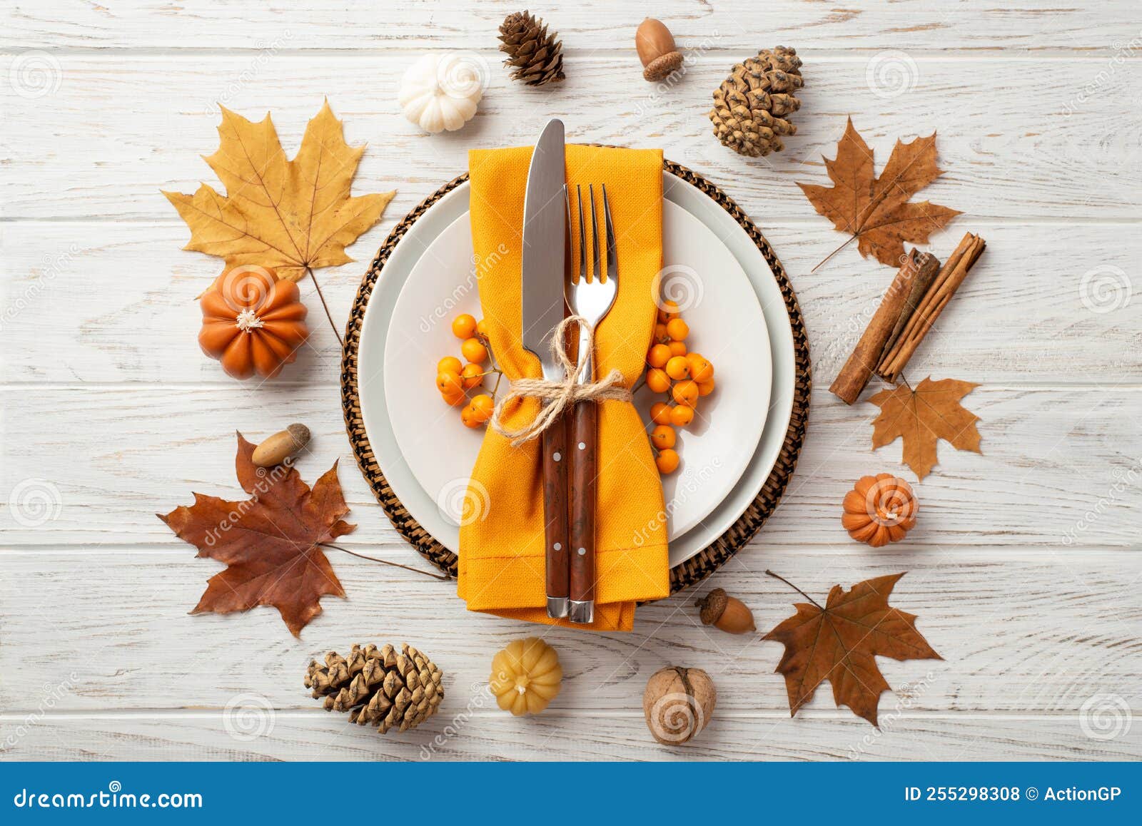 Having thanksgiving dinner outside
