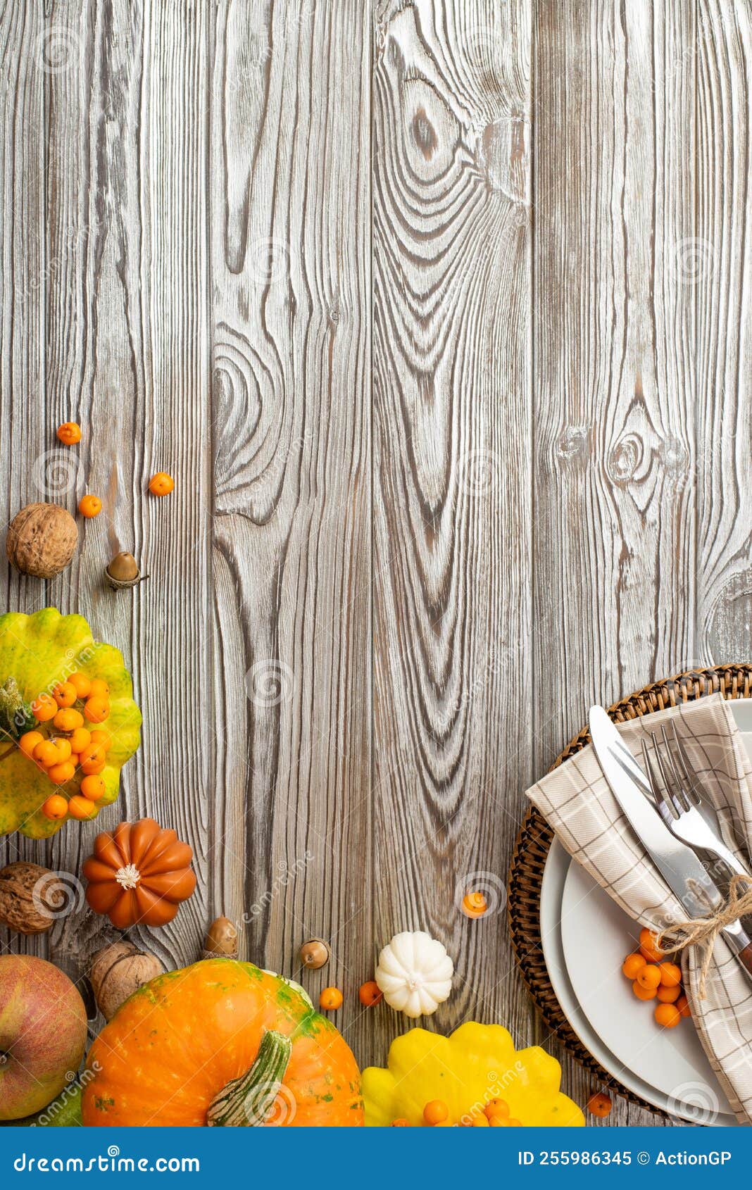thanksgiving day concept. top view vertical photo of plate napkin knife fork raw vegetables pumpkins pattypans apple rowan berries