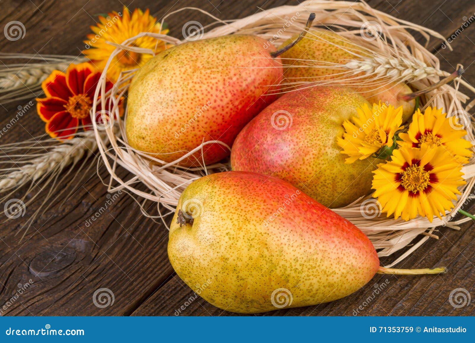 Thanksgiving Day Decoration With Ripe Pears Stock Image Image