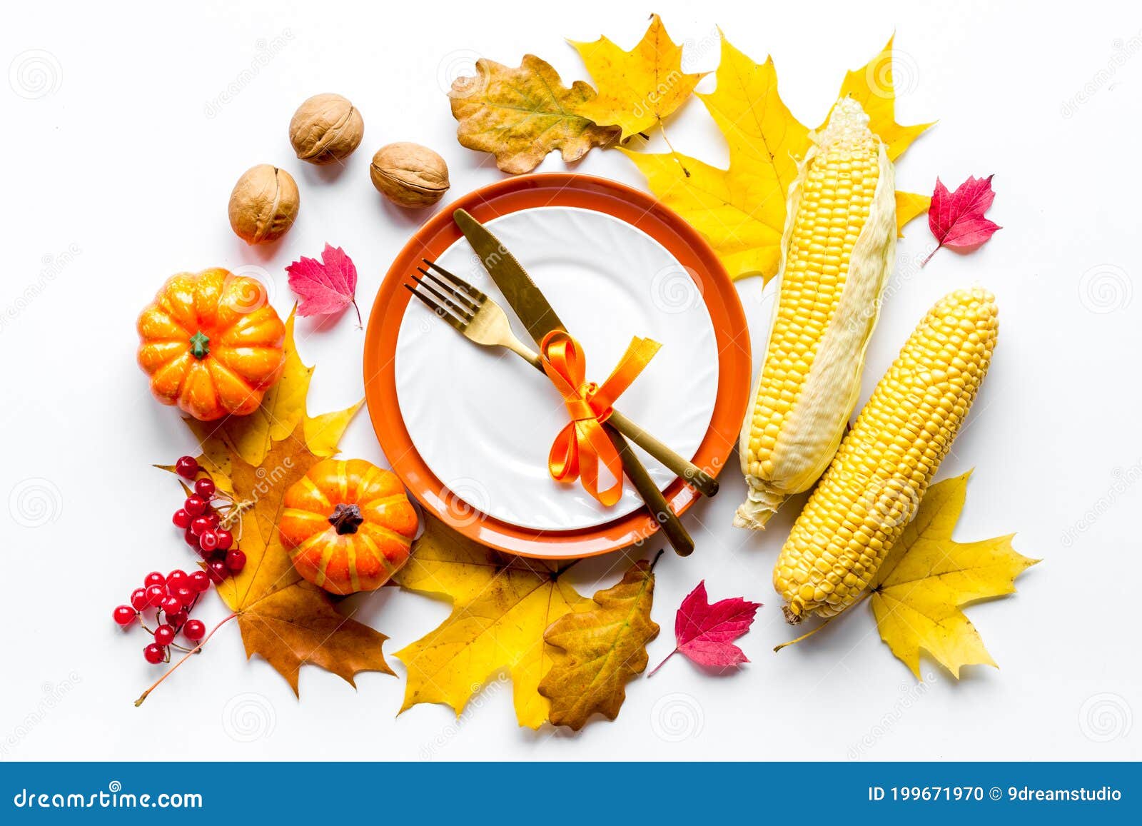 Thanksgiving Day Dinner Table, Top View . Autumn Vegetables on Plate ...