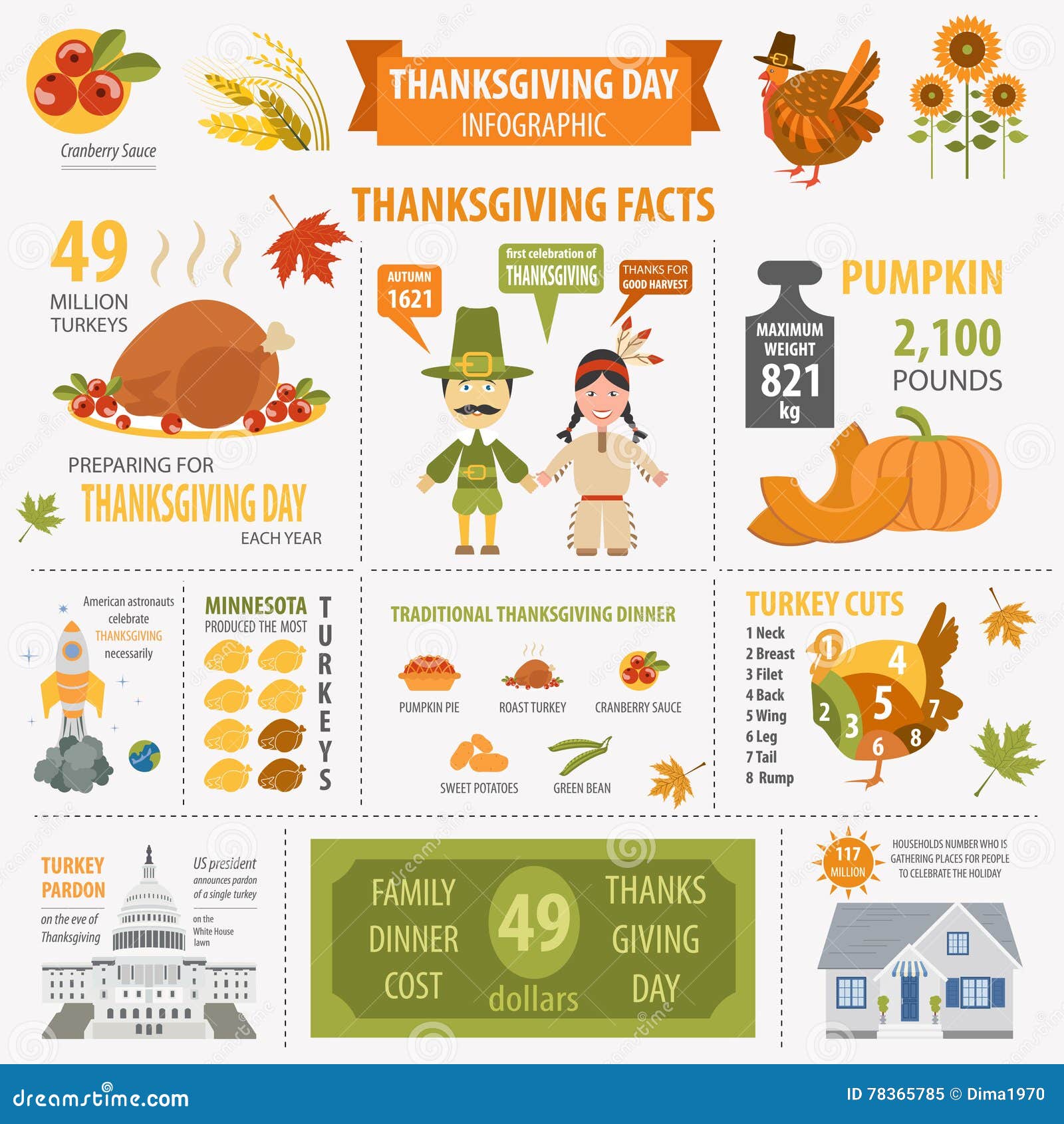 Thanksgiving Day, Interesting Facts in Infographic. Graphic Temp Stock ...