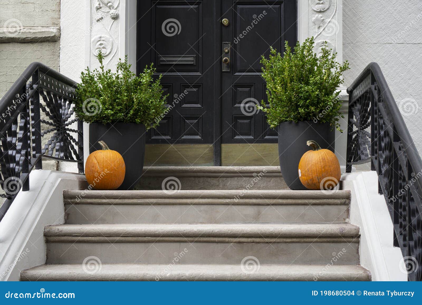 thanksgiving decorated front door with pumpkins and potted plants. autumn season