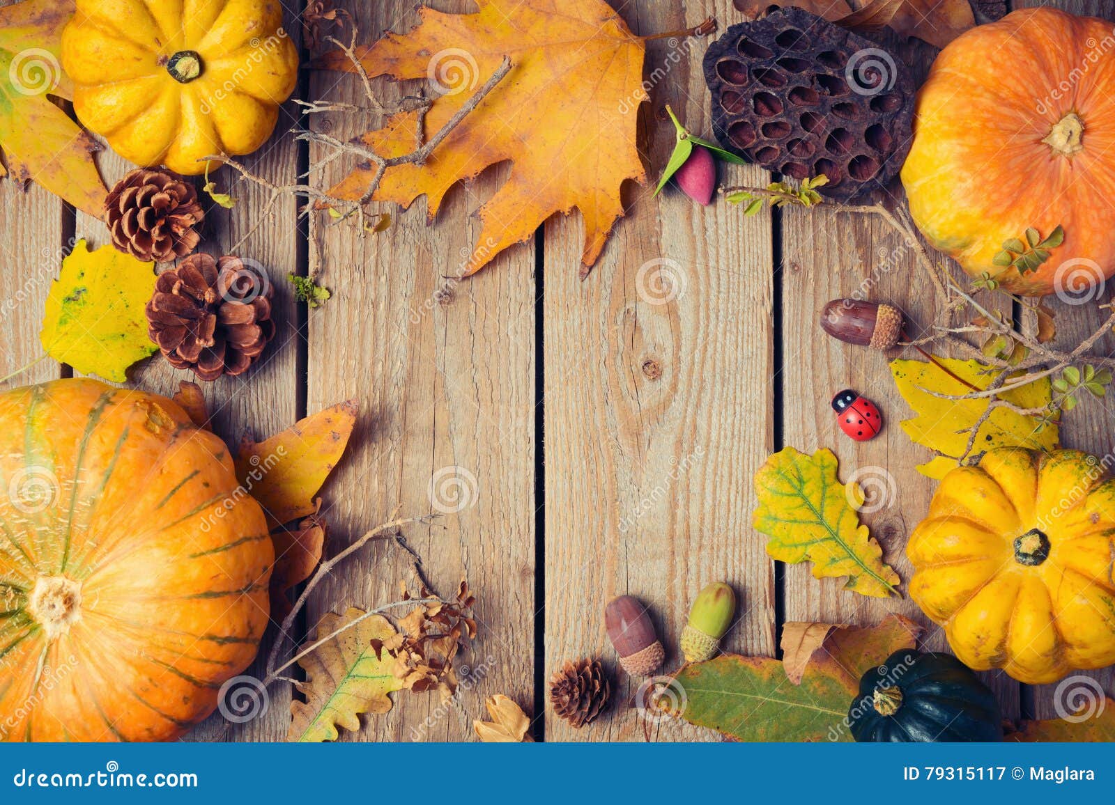 Thanksgiving Dinner Background. Autumn Pumpkin And Fall 