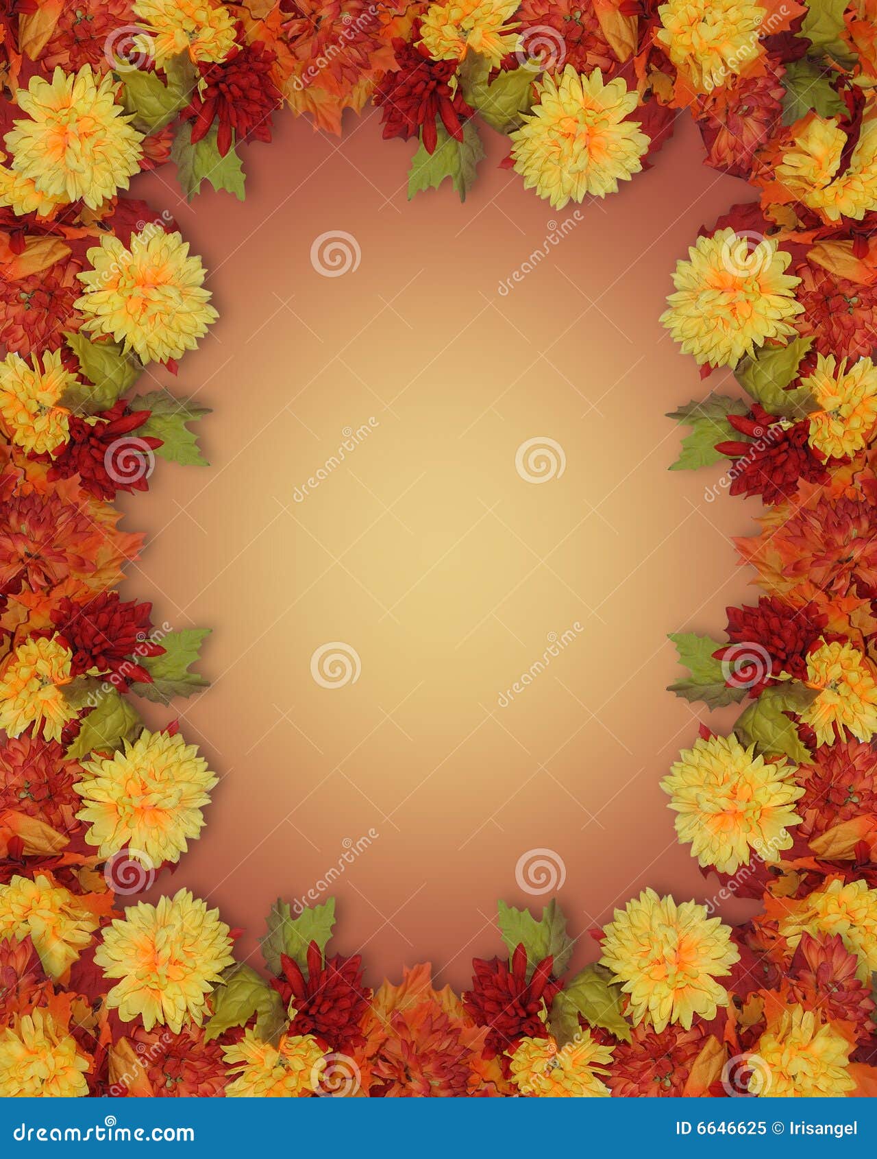 Thanksgiving Fall Autumn Border Mums Stock Illustration - Illustration