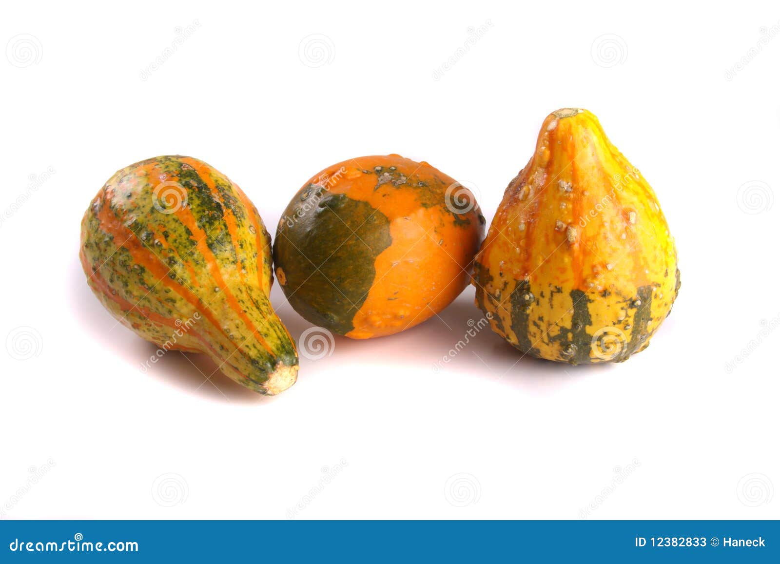 Thanksgiving Gourds stock image. Image of yellow, arrangement 12382833