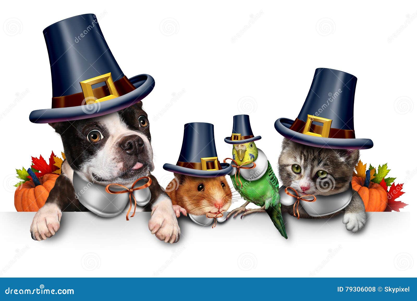 Image result for pet thanksgiving images