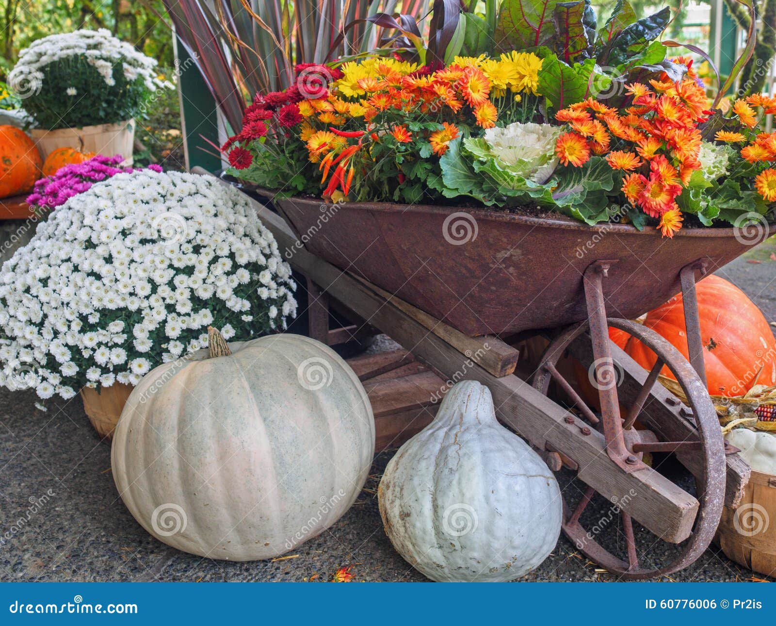 Thanksgiving Produce Display Stock Photo Image of decoration, green